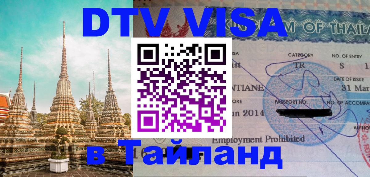 Оформление DTV визы под ключ: стоимость и тарифы, только загранпаспорт - 21.11.2025 